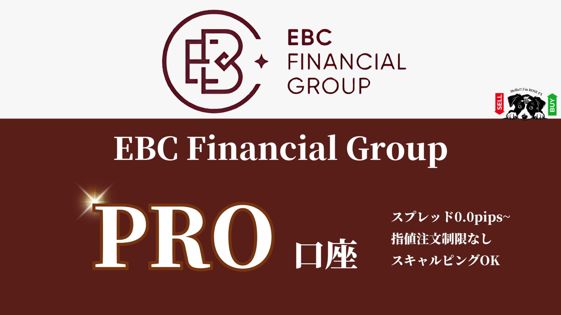 EBC Financial GroupのPRO口座はどんな人が使うの？PRO口座スペック紹介|他社比較【PR】