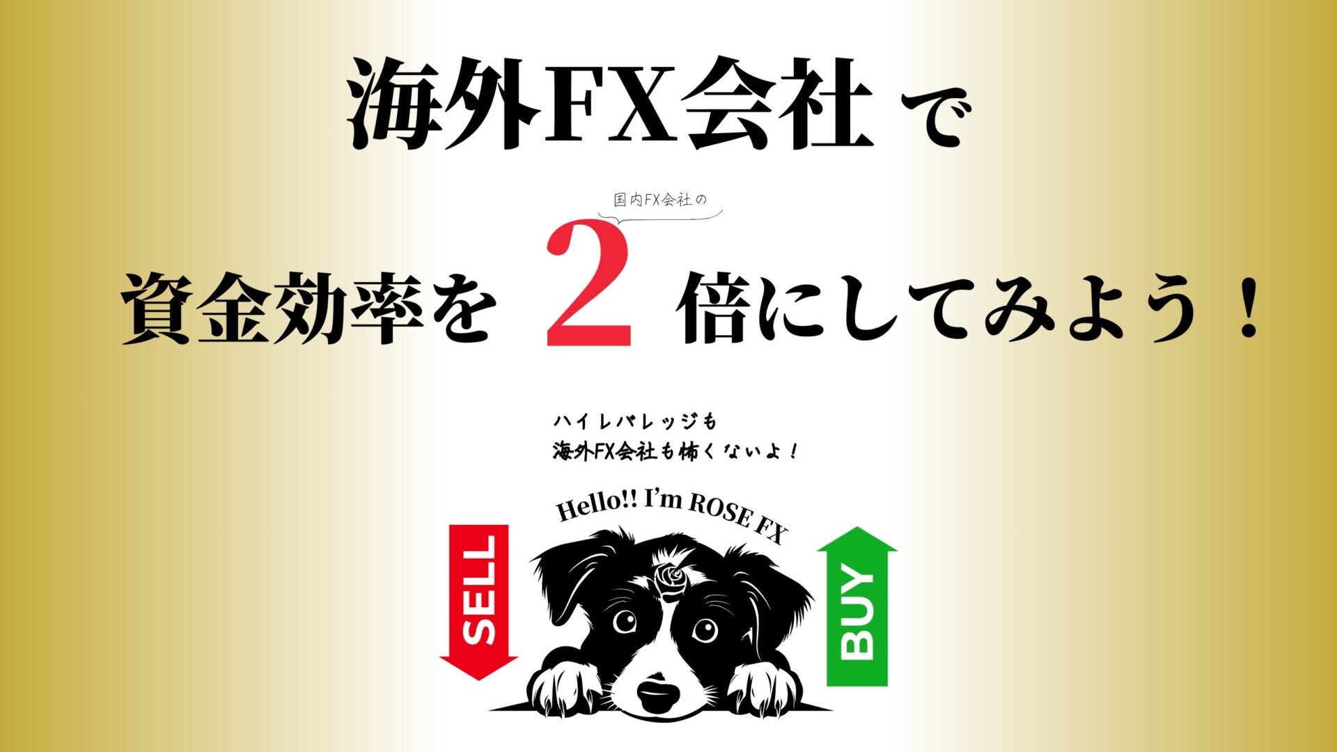 海外FX会社は不安？怪しい？怖い？｜まずは資金効率を国内FX会社の２倍にしてみることから始めてみませんか？